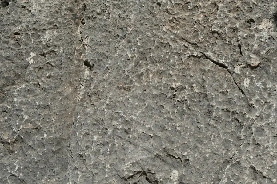 Kandla Grey limestone