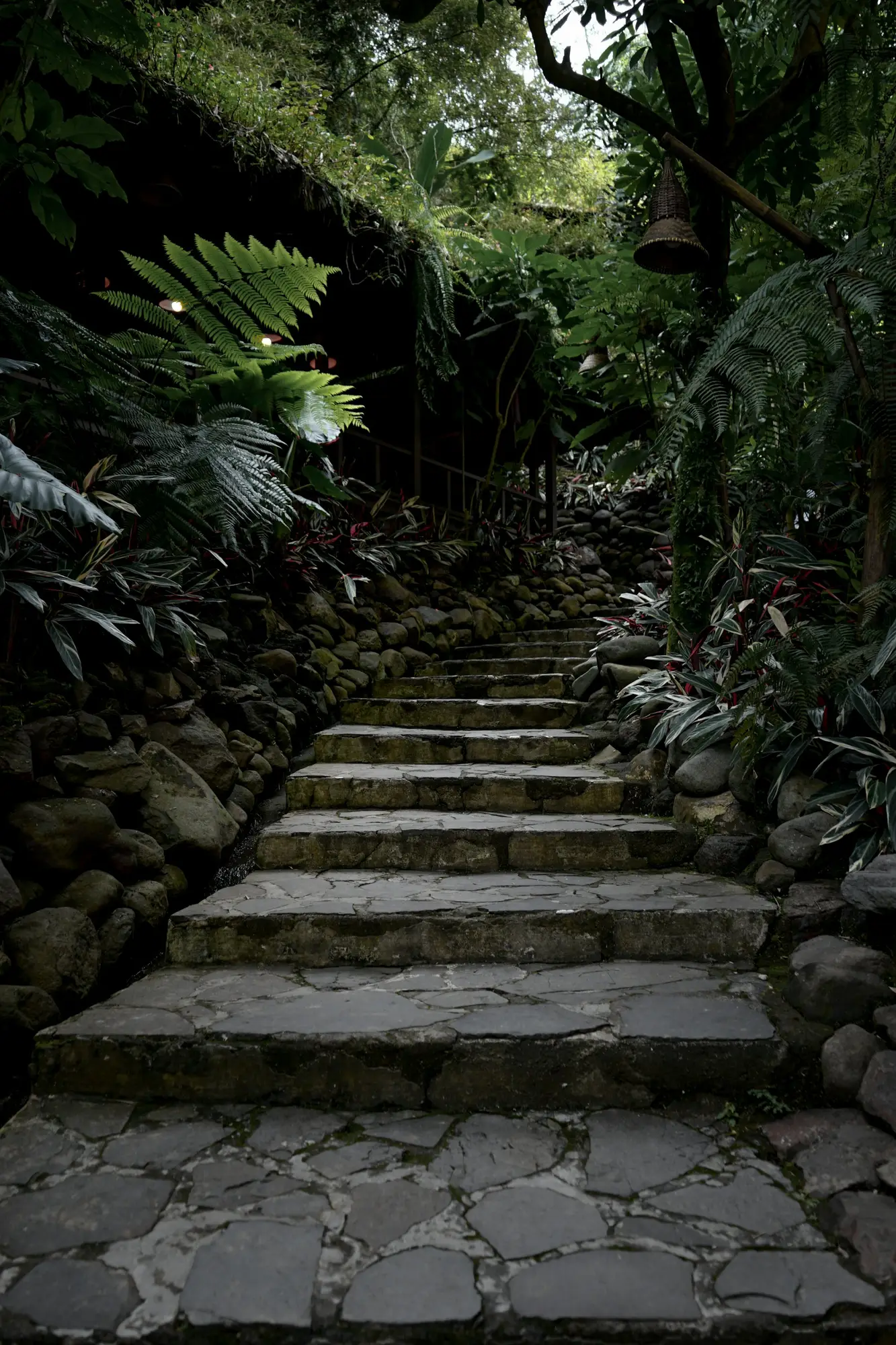 Landscaping & Outdoor