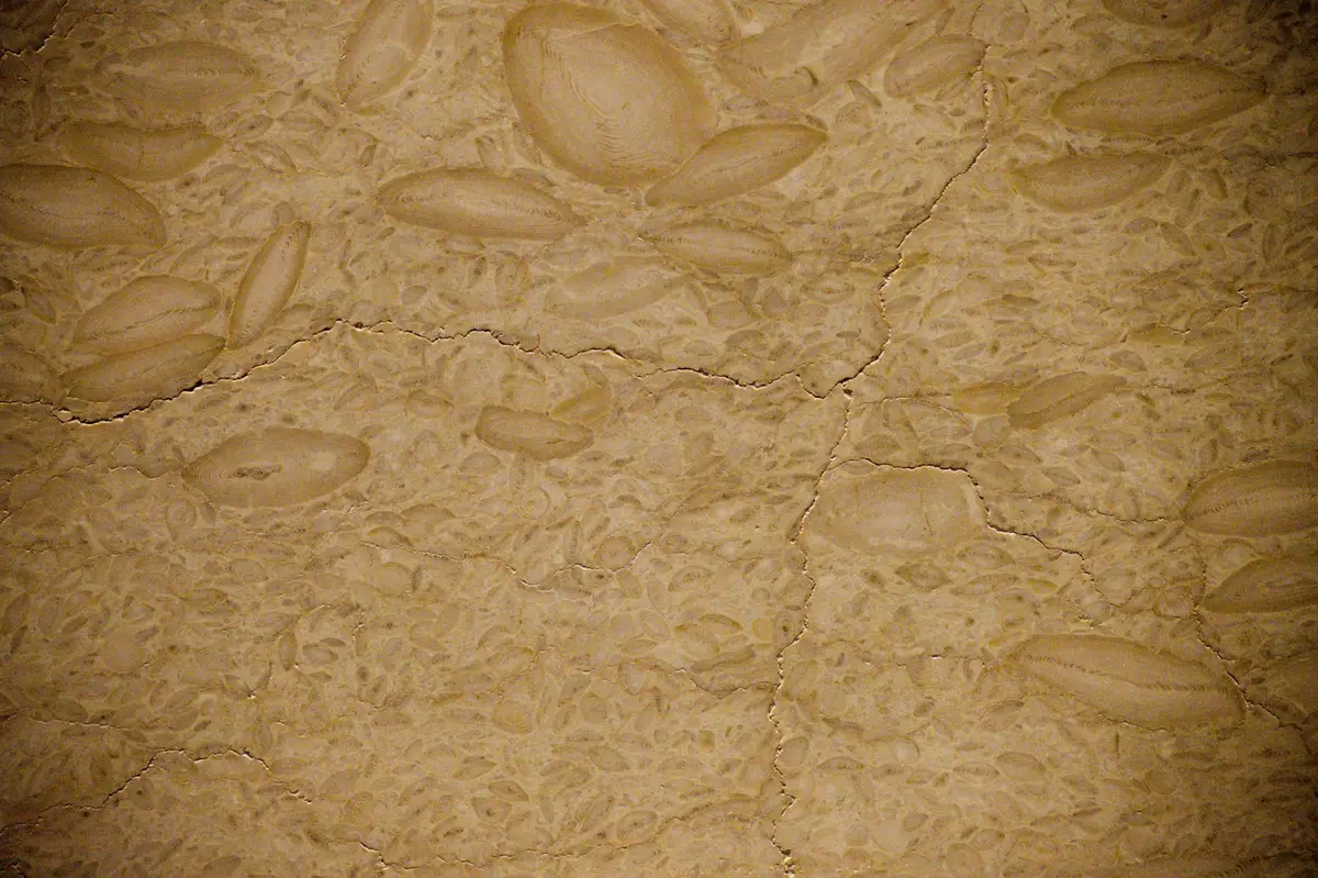 Jerusalem Gold slab