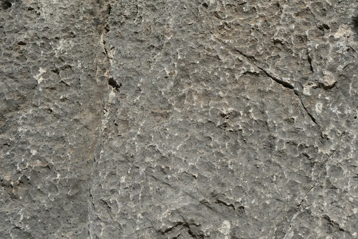 Kandla Grey slab