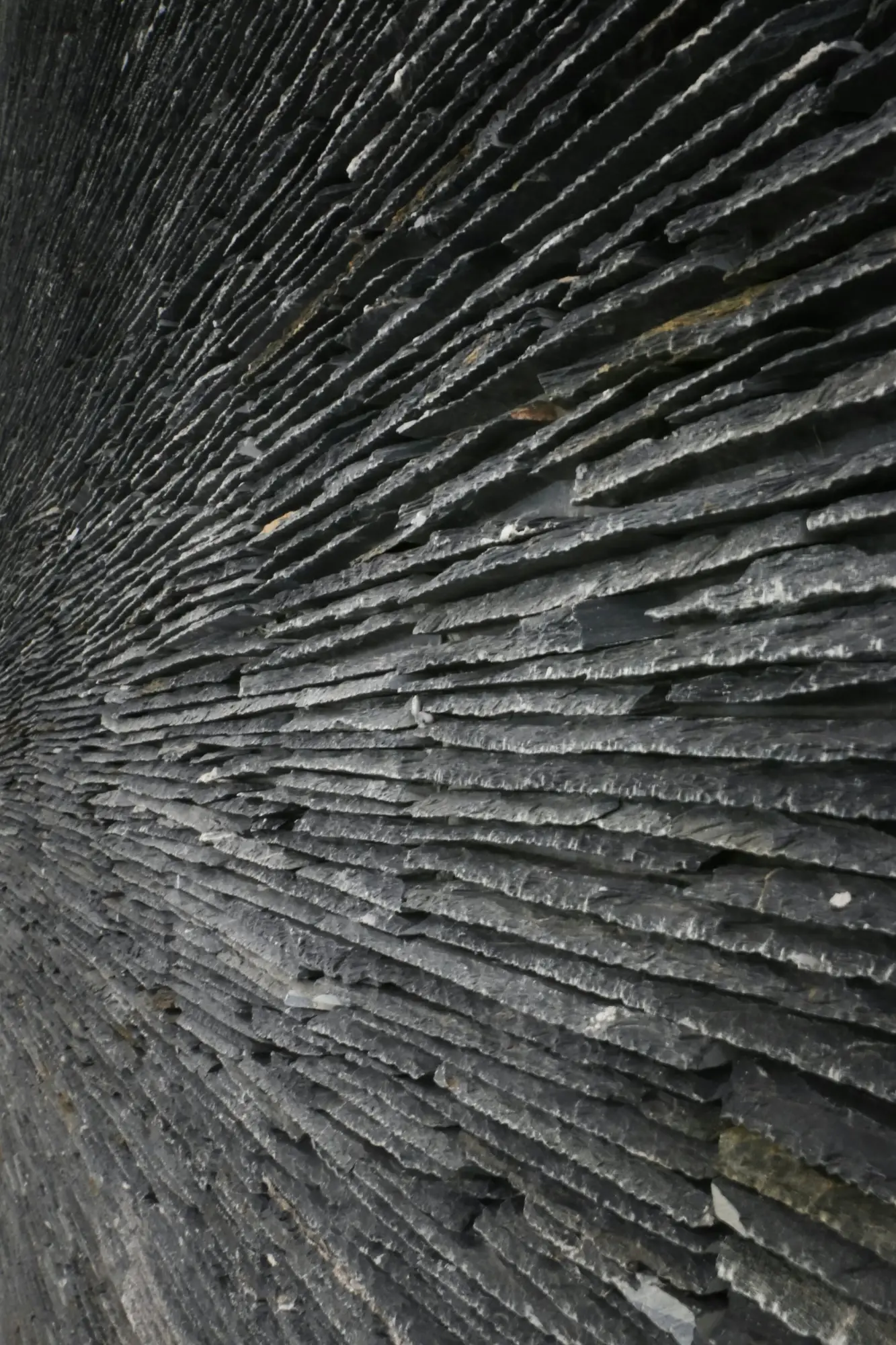 Walls & Cladding inspiration 2